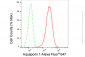 KD-Validated Anti-Aquaporin 1 Rabbit Monoclonal Antibody